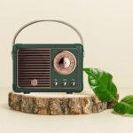 Walrus Retro II Series Bluetooth Speaker – 3W Portable Rechargeable Speaker with FM, Memory Card Slot, 400mAh Battery, 4.2 Bluetooth – Ideal for Laptop/Desktop Use – Green