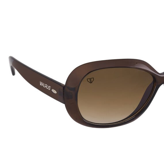Walrus Gaga Series Brown Oversize Women Sunglass