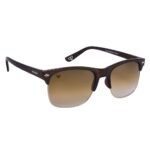 Walurs Levi Series Brown Clubmaster Men Sunglass