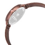 Walrus Brown Dial Analog Brass Strap Wrist Watch For Women